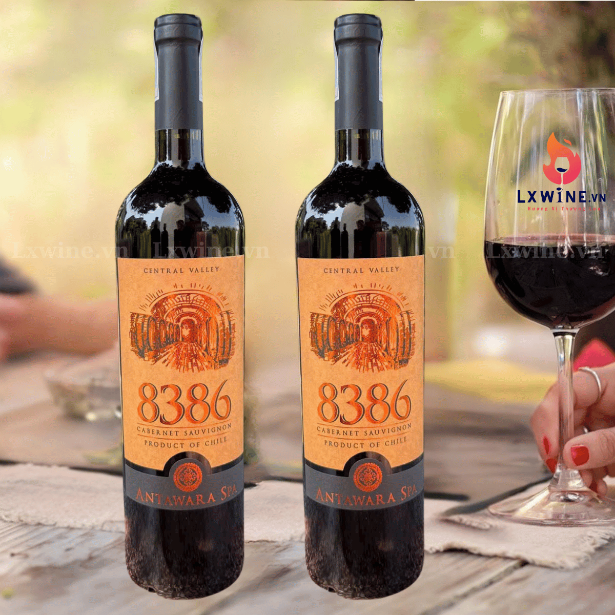 ruou-vang-8386-cabernet-sauvignon