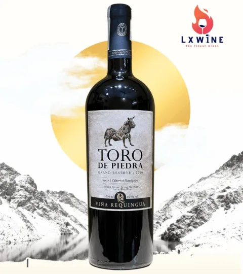 Rượu Vang TORO De Piedra Grand Reserve