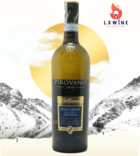Rượu vang Pirovano Pinot