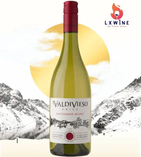 Rượu vang ngon Valdivieso