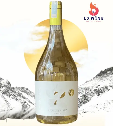 Rượu vang Collefrisio Bianco