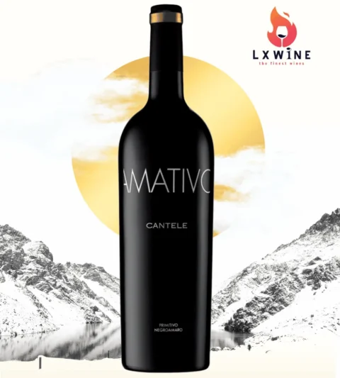 Rượu vang Ý Amativo