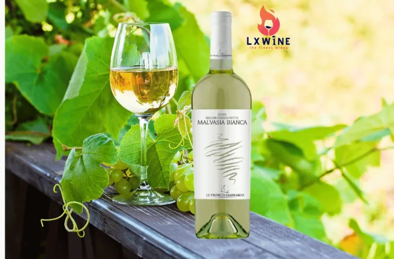 RƯỢU VANG MALVASIA BIANCA SALENTO