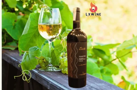 Vang đỏ Deità Primitivo Puglia