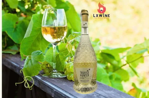 vang TRUFFLE HUNTER Moscato D’Asti Leda