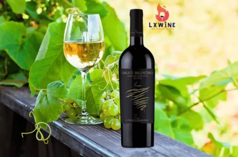 Vang Le vigne di Sammarco Salice Salentino Riserva