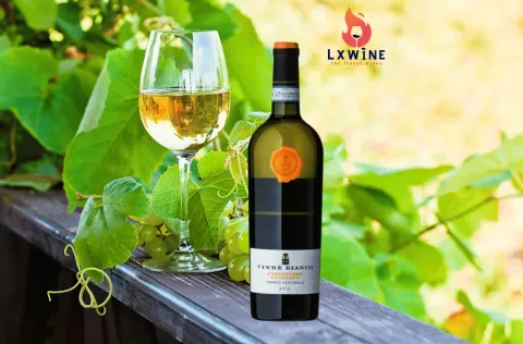 Vang Ý Rinforzato Giordano Vinré Bianco