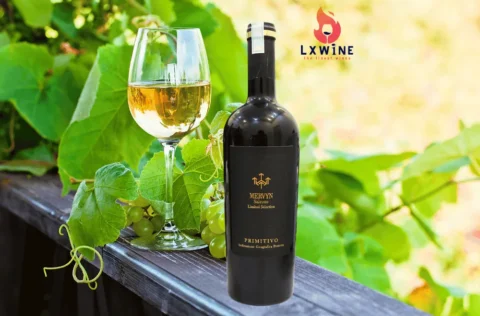 Vang Ý Mervyn Primitivo Salento