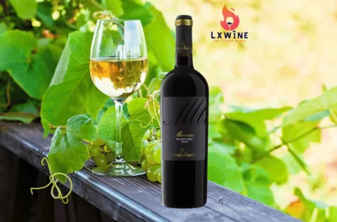 Vang ý Marasia Malvasia Nera Di salento
