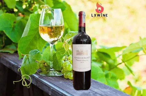 Rượu vang Adorez De France Cabernet Sauvignon