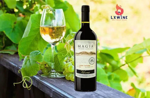 VANG MAGIA RESERVE CABERNET SAUVIGNON CHÍNH HÃNG