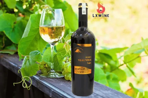 Vang Ý Vesuvius Rosso Puglia