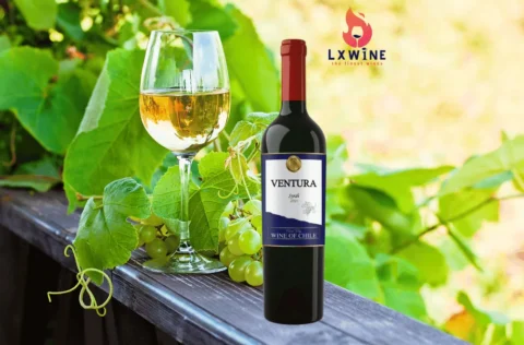 Rượu Vang ventura Cabernet sauvignon