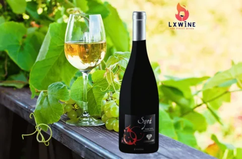 UGGIANO TOSCANA SYRAH
