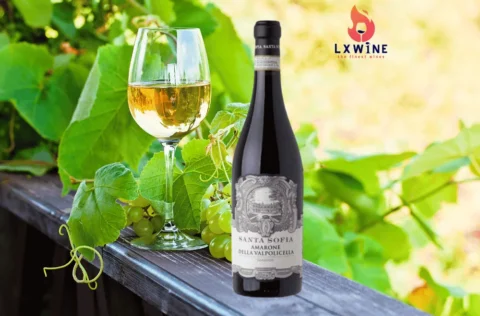 Rượu vang Santa Sofia Amarone