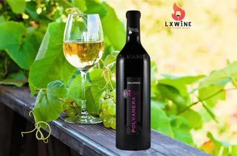vang Organic Polvanera Aglianico