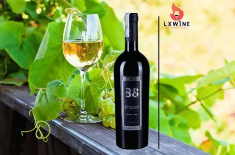 Vang 88 Negroamaro Del Salento