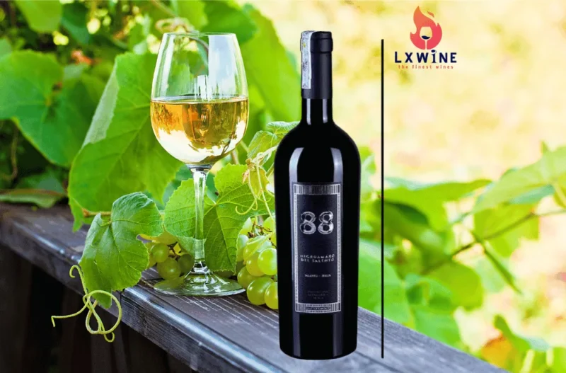 Vang 88 Negroamaro Del Salento