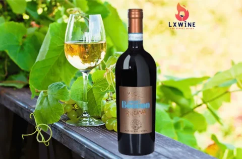 VANG BOCCON CABERNET RISERVA