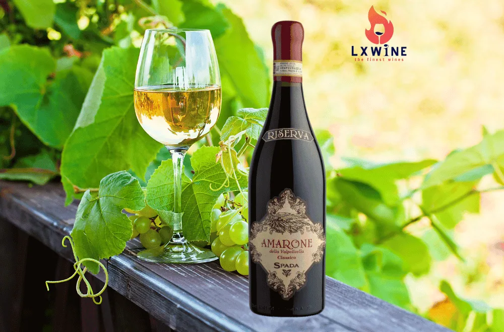 Vang Ý Amarone Della
