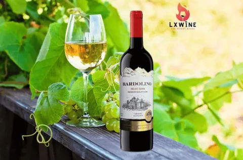 Vang Bardolino Selection