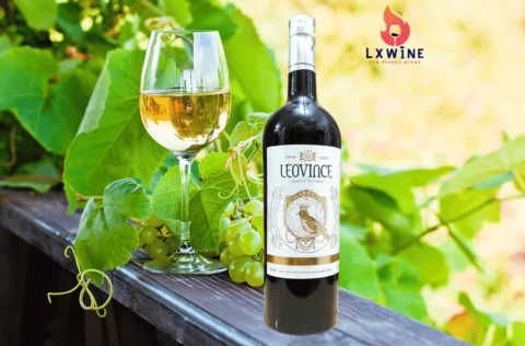 vang Leovince