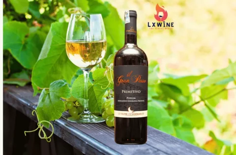 Rượu Vang IL Gran Passo Primitivo Puglia