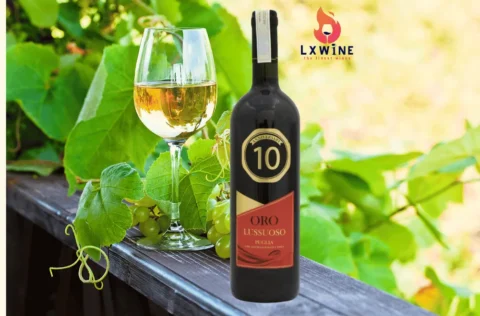 Rượu Vang Ý 10 ORO Lussuoso Puglia
