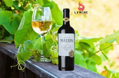 RƯỢU VANG MAZZINI PRIMITIVO