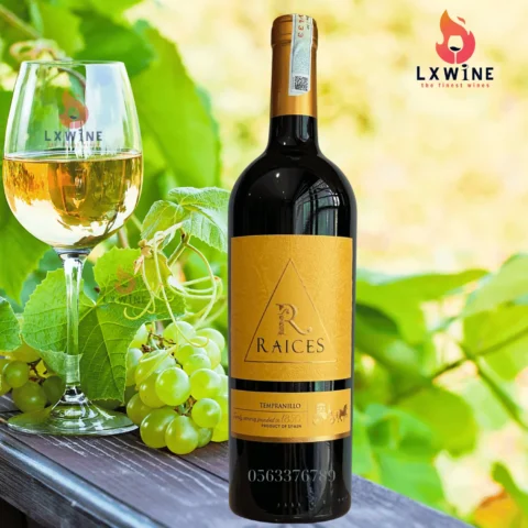 Rượu Vang Đỏ Raices Tempranillo Tây Ban Nha: Hương vị đậm đà, quyến rũ