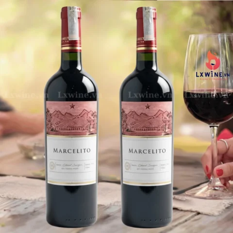 Rượu Vang Marcelito Cabernet Sauvignon – Vang Chile Nhập Khẩu | Lxwine.vn