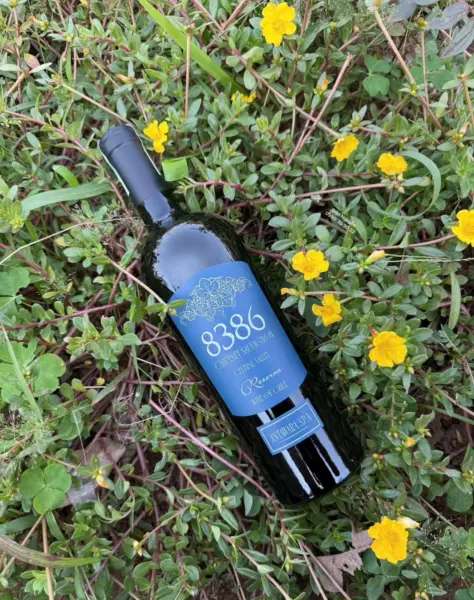 Rượu Vang 8386 Central Valley – Vang Đỏ Cabernet Sauvignon Chile Chính Hãng